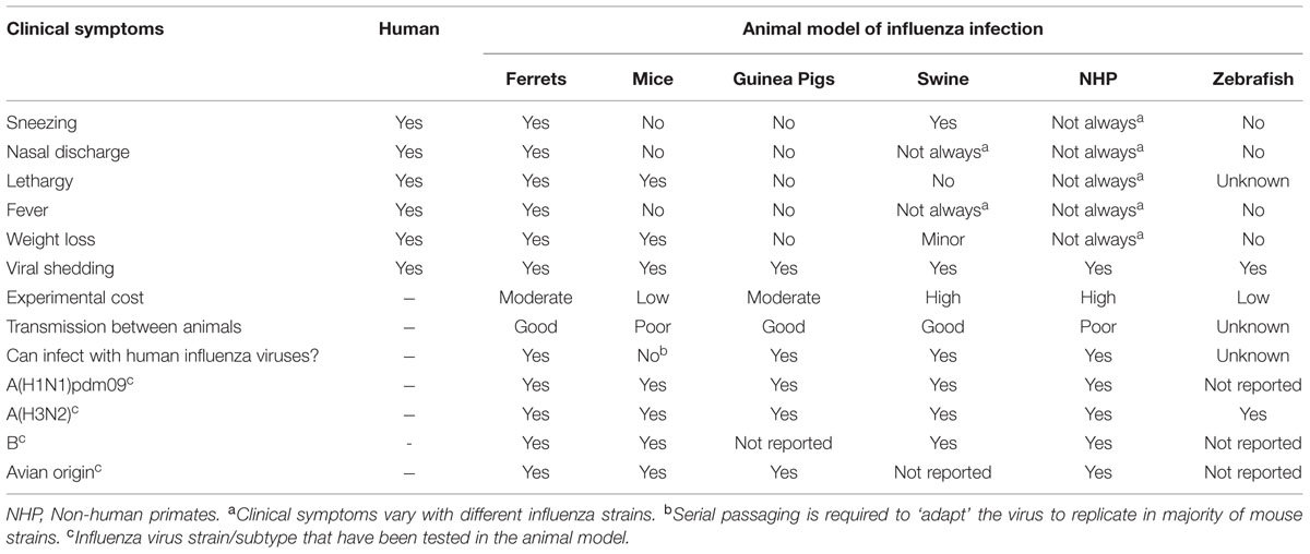 Influenza WP 2