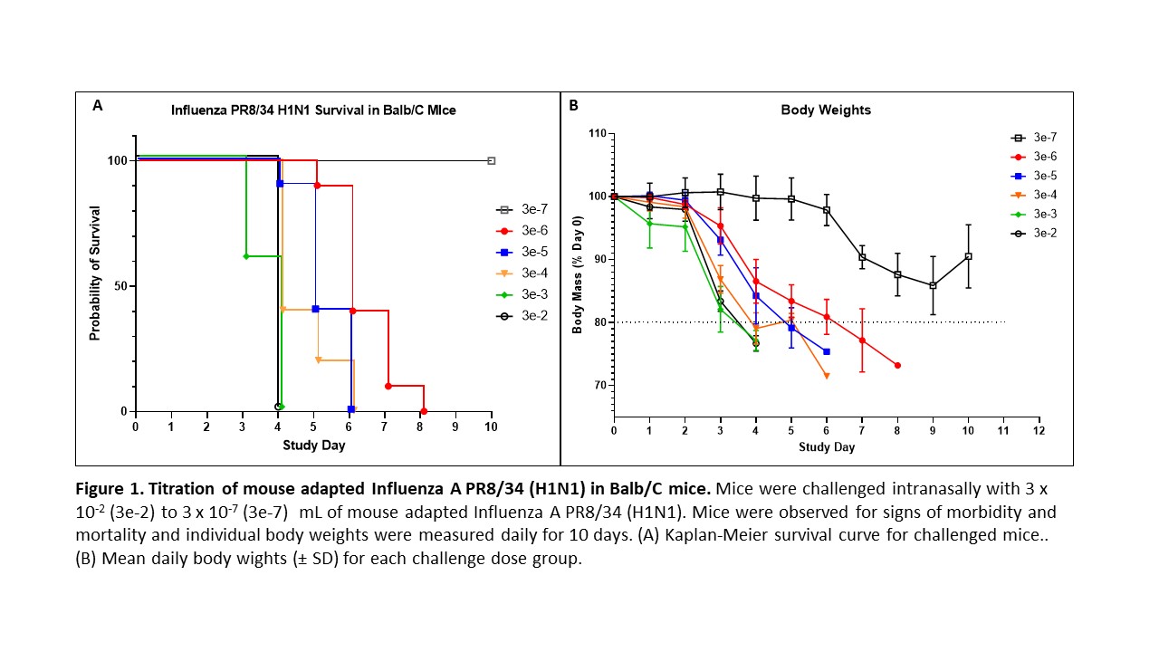 Influenza WP 3.png