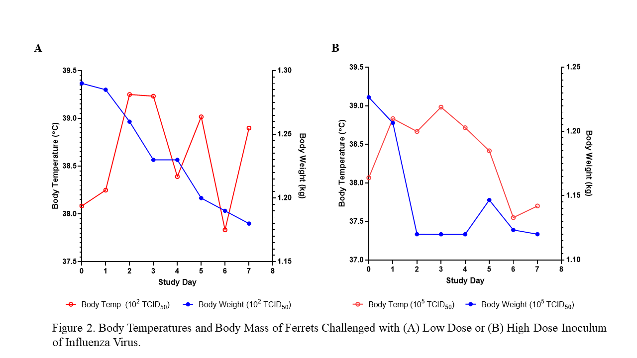 Influenza WP 4