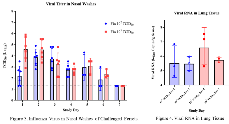 Influenza WP 6