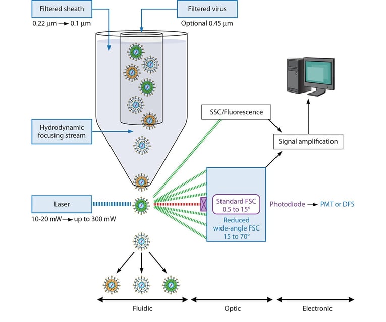 Viral Flow Cytometry
