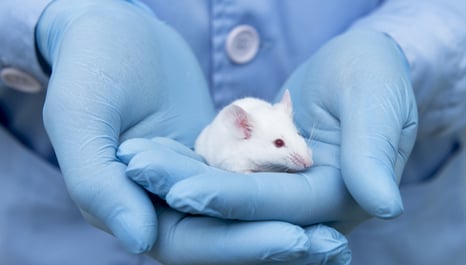 Acute and Repeated-Dose Toxicity Studies Acute and Repeated-Dose Toxicity Studies